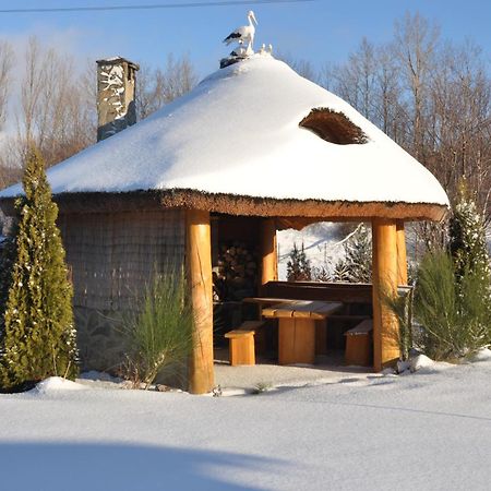 Apartamenty Pod Dzikowcem Boguszów-Gorce Exterior foto